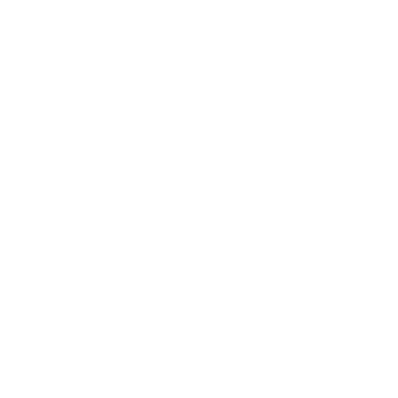 V3 Electric